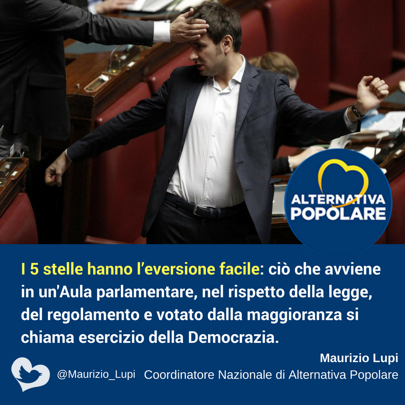  I 5 stelle hanno l’eversione facile: ciò che avviene in un'Aula parlamentare, nel rispetto della legge, del regolamento e votato dalla maggioranza si chiama esercizio della Democrazia