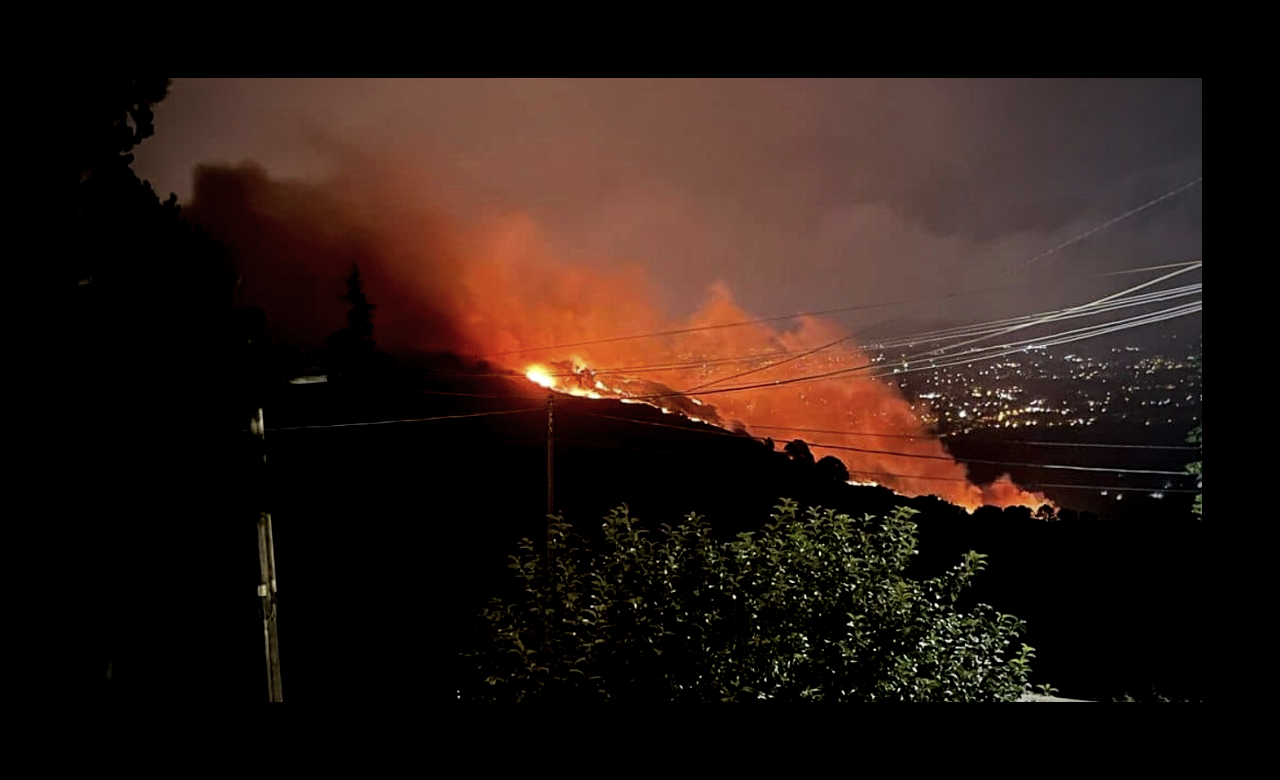  IL 57% DEGLI INCENDI È DI ORIGINE DOLOSA